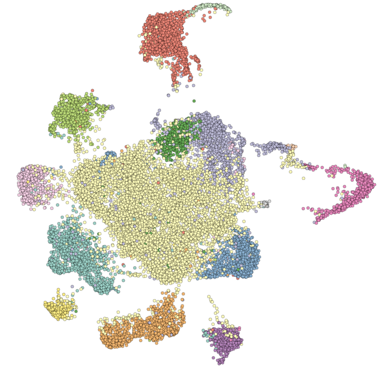 Angeletti Lab research photo 4